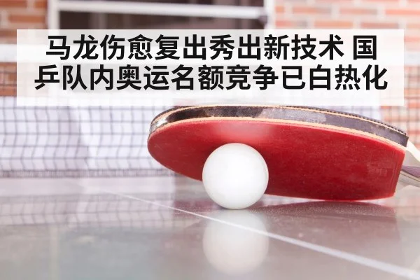 马龙伤愈复出秀出新技术 国乒队内奥运名额竞争已白热化